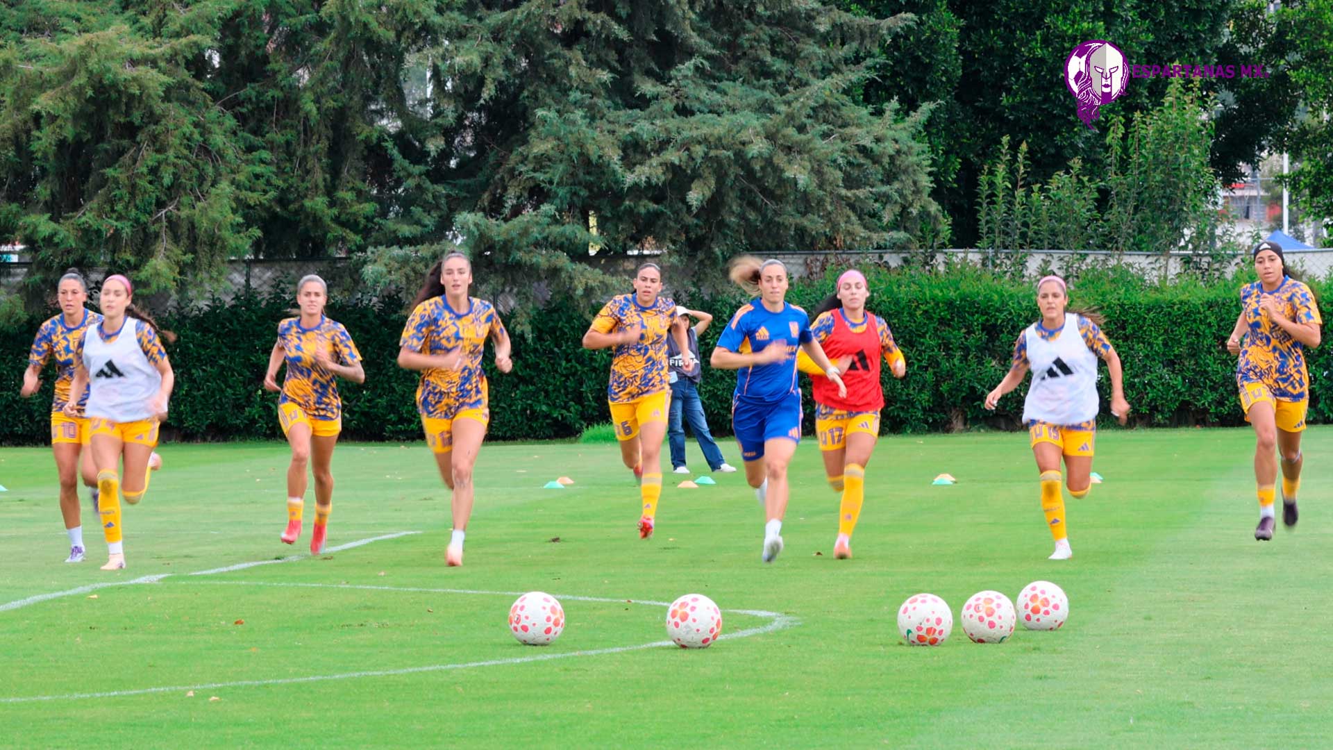 Tigres Femenil y su motor invisible: el trabajo de Mireia Encina