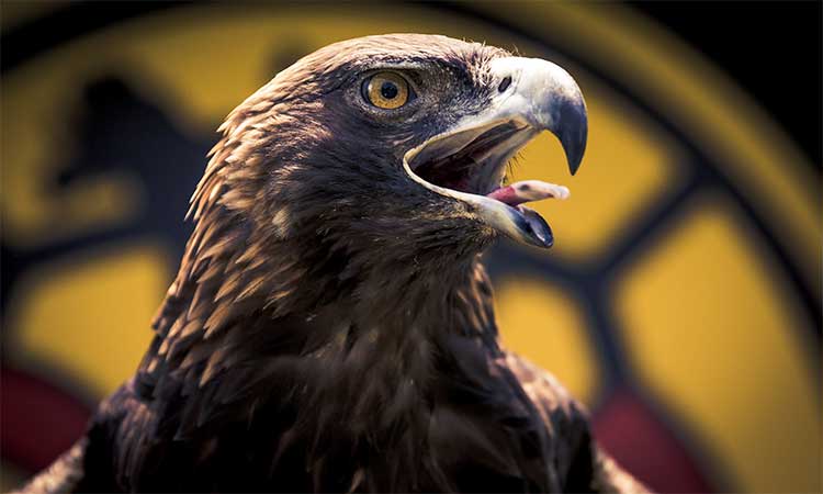 Este es el calendario del América femenil en el Clausura 2021