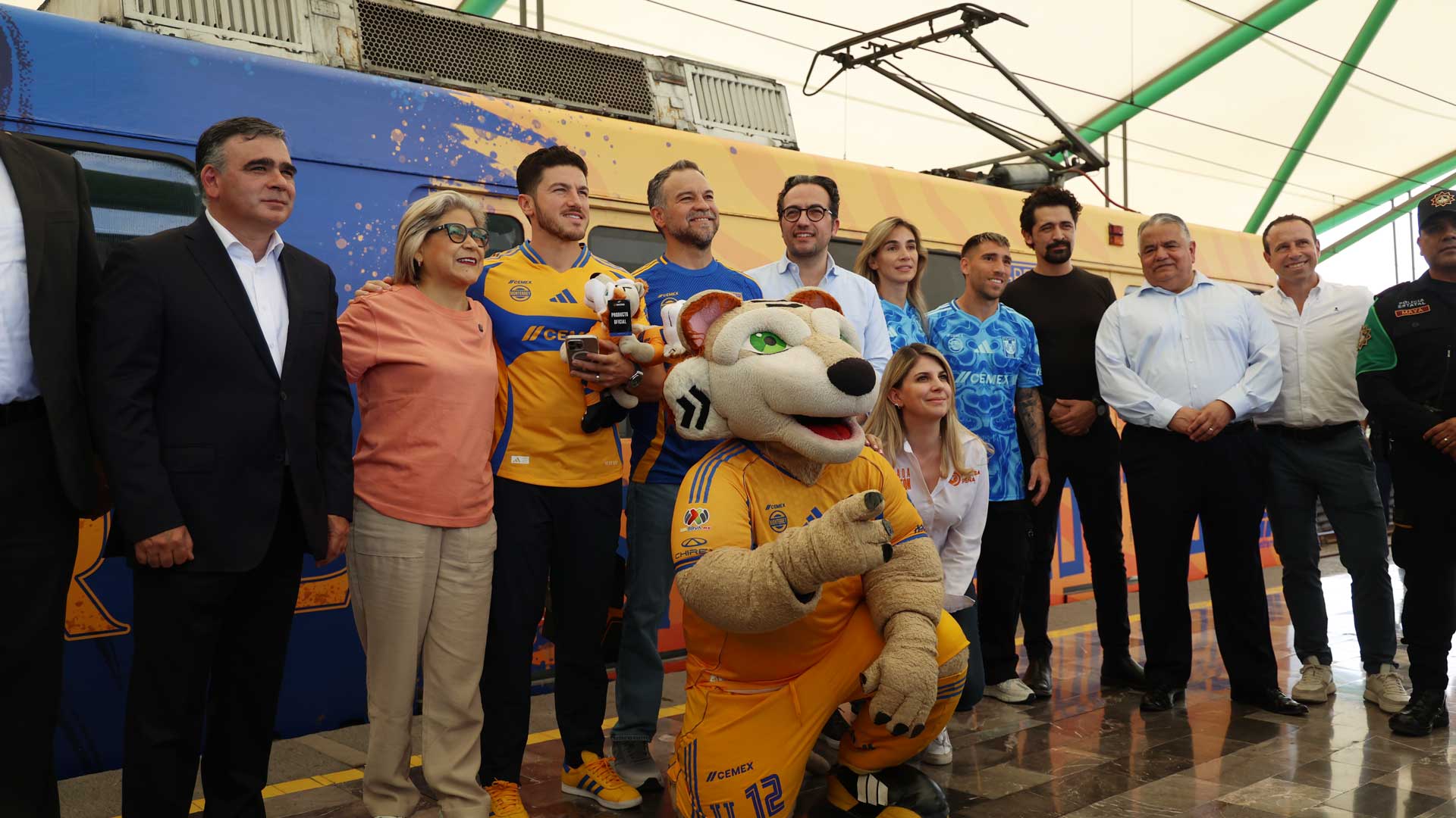tigres metro 002